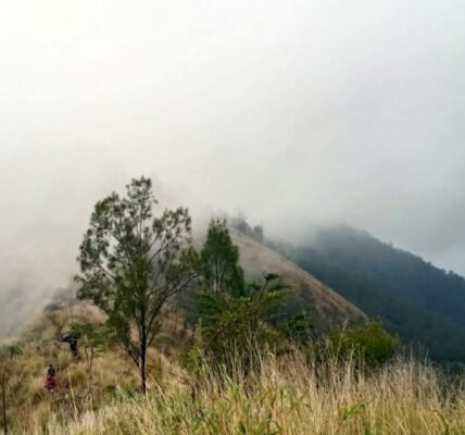 7 Fakta Seru tentang Pendakian Gunung Wilis yang Perlu Kamu Ketahui
