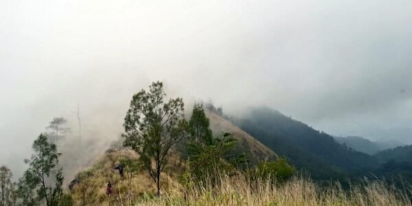 7 Fakta Seru tentang Pendakian Gunung Wilis yang Perlu Kamu Ketahui