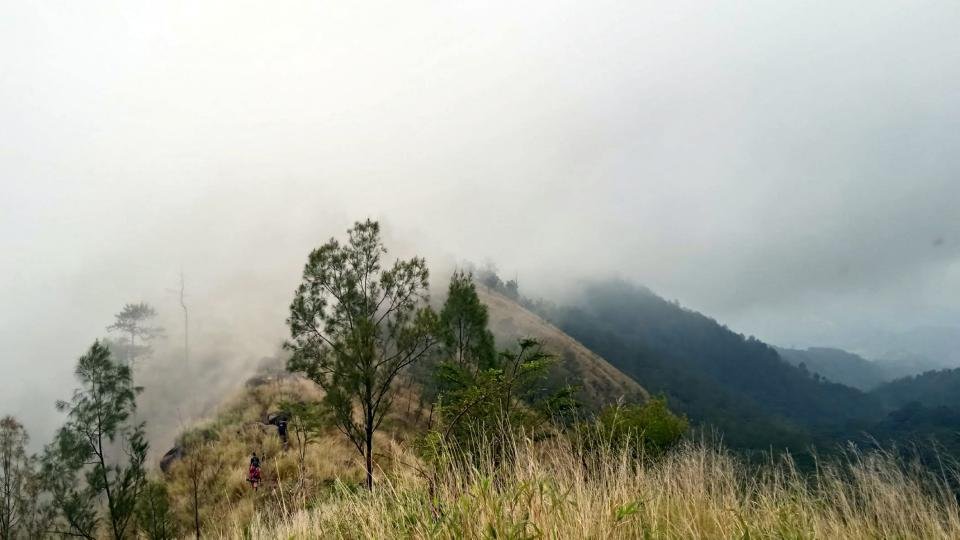 7 Fakta Seru tentang Pendakian Gunung Wilis yang Perlu Kamu Ketahui