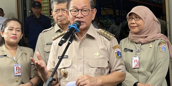 Pramono Siap Perbaiki 55 Rawa Kumuh di Jakarta